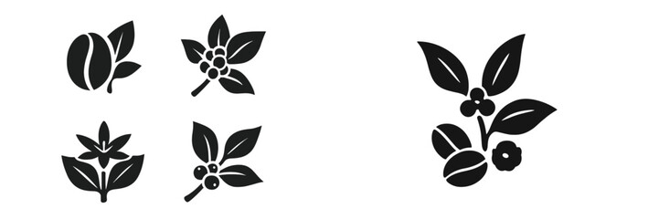 Coffee Plant Branches with Beans and Berries, Minimalist flat design © icon_art