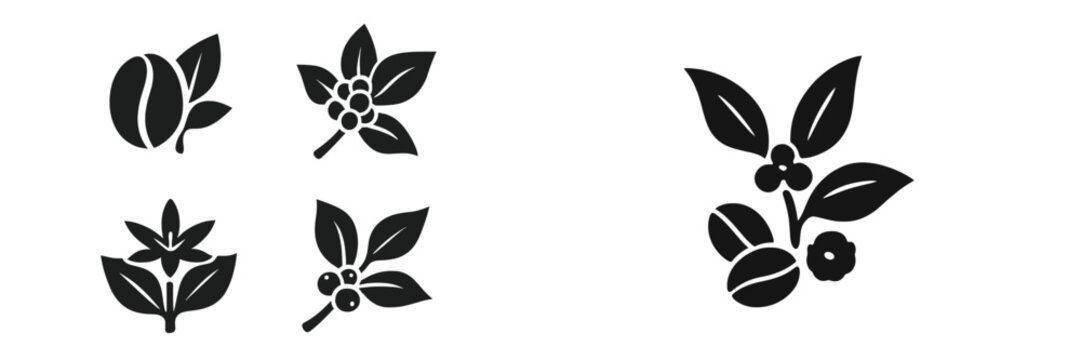 Coffee Plant Branches with Beans and Berries, Minimalist flat design