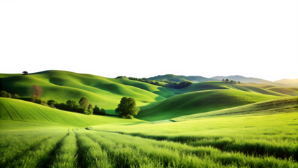 Rolling green hills and fields create a picturesque landscape, with scattered trees and a clear sky, offering a tranquil and scenic view of nature isolated on transparent background