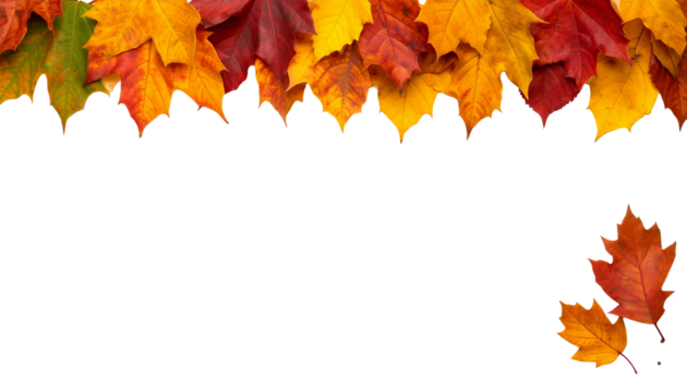 autumn leaves frame