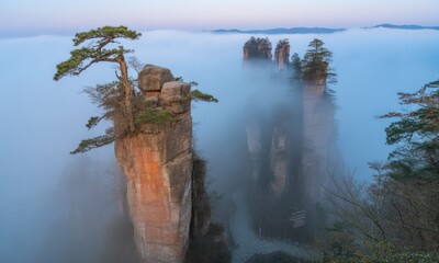 Naklejka premium Misty mountain peaks, with sandstone pillars rising above a sea of clouds, a pine tree atop one