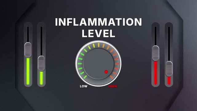 Animation of Inflammation level on a circular gauge moving from low to high and back. Can be used to show increase or decrease. Perfect for health, fitness, or data content.