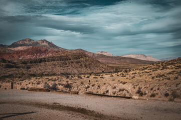 Mojave Desert