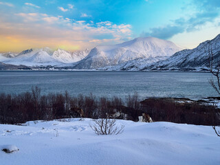 beautiful landscapes in Norwegian Lapland