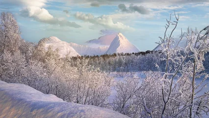 Fototapete Lavendel beautiful landscapes in Norwegian Lapland  © MdelCarmen
