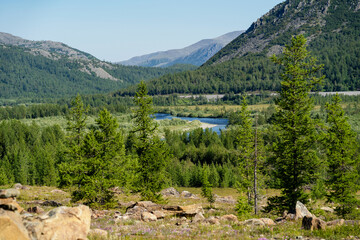 Panorama of forest and green mountains on a sunny day in the middle of the river