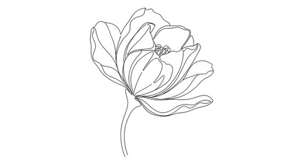 Obraz premium Elegant single line art of a blooming tulip isolated on white canvas