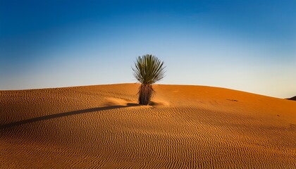 a solitary cactus stands resilient in a sandy desert surrounded by wave like sand patterns under a clear sky