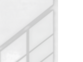 Shadow of Interior Design: Capturing the play of light and shadow within an interior setting, where the subtle patterns create a sense of minimalist aesthetic.