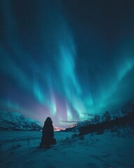 Fototapeta premium Woman kneeling on snowy ground watching bright aurora lights in Arctic night sky