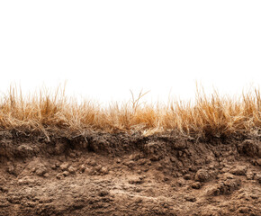 Obraz premium Harvesting natural grasses rural landscape nature dry environment view isolated on transparent background, png