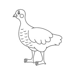 Cute outline little turkey isolated on white background. Can be used as coloring page for kids