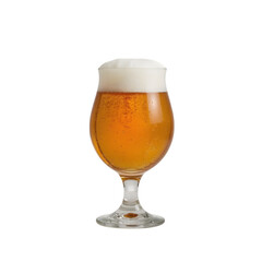 Golden Brew: A full glass of beer, perfectly poured with a frothy head, glistening and enticing against a soft backdrop.