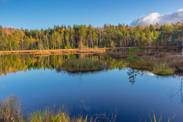 Mirror-Smooth Lake reflecting Autumnal Forest Landscape
