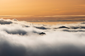 road, woman, people, bike, dog, couple, grass, farm, family, exercise, active, autumn, outdoors, travel, walking, park, cow, animal, path, field, street, trees, photography