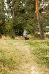 person walks two dogs on a path in a forest or park. canine are on leashes, and the woman is wearing hat. Pet training with handler, professional dog walker, dog sitter. animals in nature.