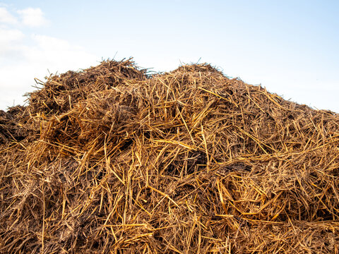 Freshly Stacked Straw and Manure Pile Enriches Rural Farmland Under Bright Blue Skies