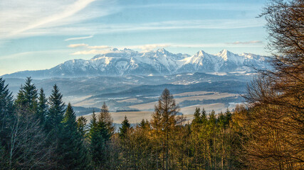 Winter mountain landscape with snow and forest.