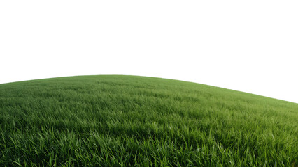 Obraz premium Rolling Meadow's Lush Embrace: A serene, sun-drenched field of vibrant green grass, gently undulating towards the clear sky. Its texture invites a feeling of peace.