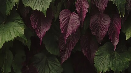 Deep Green and Burgundy Leaves Nature Background