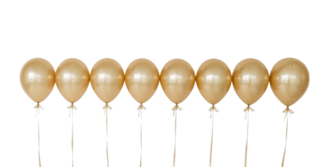 Golden Balloons: Captivating a sense of celebration, these metallic gold balloons float in unison, offering a touch of elegance and festive flair, evoking joy and anticipation.