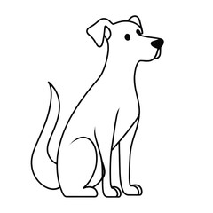 Friendly dog poses calmly in a minimalist setting