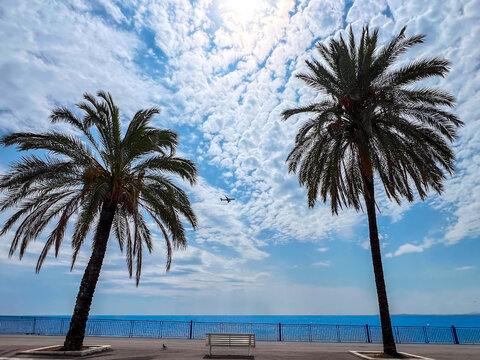 Seascape of blue sea with palm trees against a blue sky with clouds and an airplane, seen from the Promenade des Anglais on baie des Anges in Nice, France