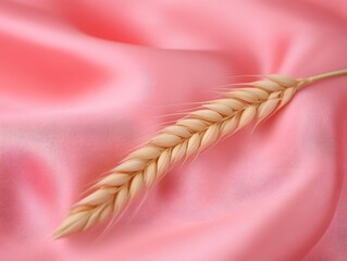 Delicate Wheat Ear on Pink Silk Fabric, Elegant Texture, Soft Drape,  Closeup Photography