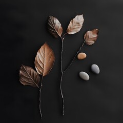 Dried Leaves and Stones Minimalist Nature Photography
