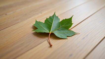 Single green maple leaf resting on a polished wooden floor, autumn season concept