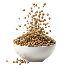 3D Coriander Seeds Spilling from Small Bowl PNG – Isolated Transparent Background on White Background