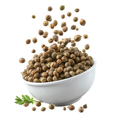 Coriander Seeds in Small Bowl 3D PNG – Spilled Spice Illustration, Isolated Transparent Background on White Background
