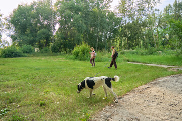 A woman stroll through a vibrant forest, enjoying the warm sunlight while walking a friendly dog