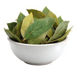 3D Dried Bay Leaves PNG – Stacked in Bowl, Isolated Transparent Background on White Background