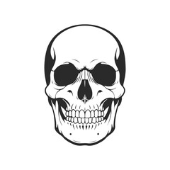 Fototapeta premium Detailed black and white skull illustration on white background