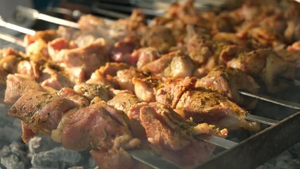 Close-up of many pieces of meat shashlik on skewers roasting over open fire on a barbecue. Meat coated with spices, large batch for a group, just starting to cook, traditional outdoor cooking.