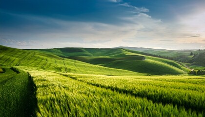 Obraz premium green rolling wheat fields