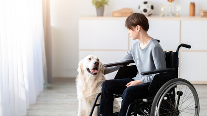 Impaired teenager in wheelchair stroking his cute golden retriever at home. Disabled boy spending...