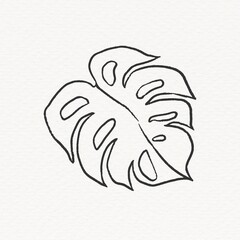 Monstera leaf clipart, line art design