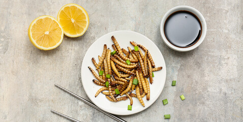 Plate of fried maggots with green onion, lemon and bowl of soy sauce on grey background