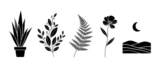 Obraz premium Assorted botanical and celestial elements in a row presented as vector illustrations