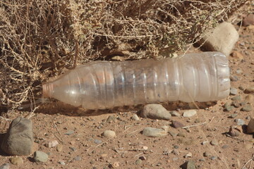 A plastic bottle laying on the ground, Plastic pollution