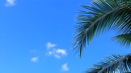 Naklejka premium Blue sky with a few harmless clouds and palm fronds on the edge