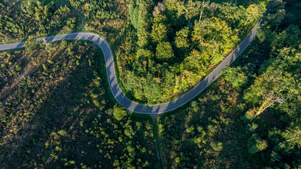 Landstraße aus der Vogelperspektive kurvenreiche Straße durch einen Wald