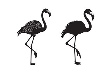 Two silhouetted flamingos standing on one leg