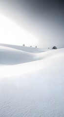 Monochrome winter landscape with snowdrifts and trees on a cold day