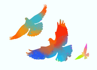 Flying colored birds silhouettes on white background. Vector illustration. isolated bird flying. tattoo design.