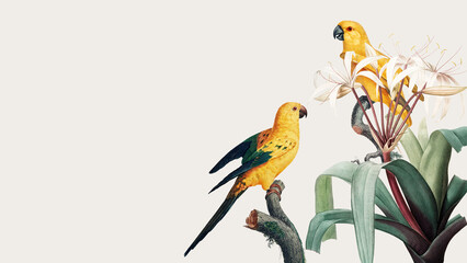 Colorful birds illustration desktop wallpaper