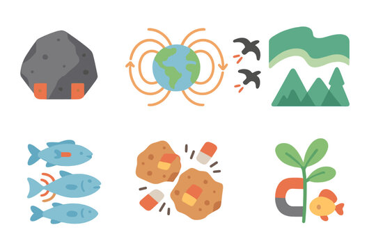 Magnetic Nature Series. Flat vector mini-illustrations magnet-related nature in colors children's illustrations: lodestone rock,