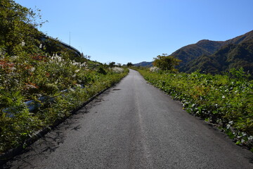 山岳道路 山形県庄内